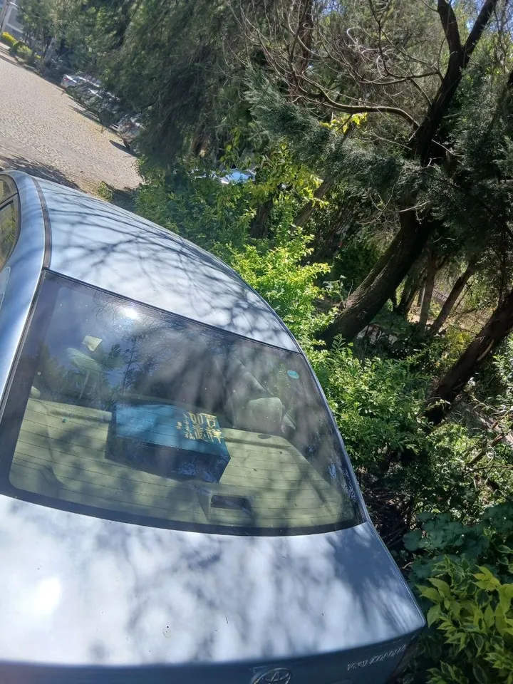 Toyota Corolla 2006 Automatic Sedan – photo 10