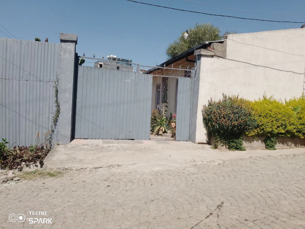 375 sqm Land for Sale Bole – photo 5
