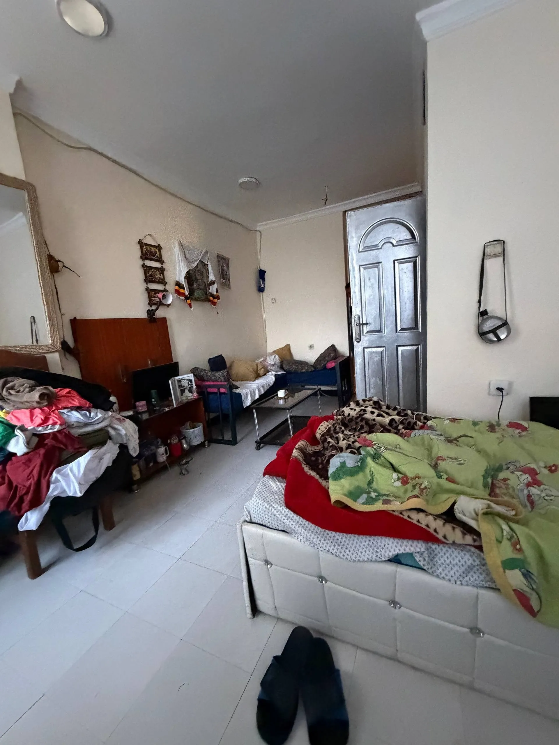 29 sqm Studio in Bole Arabsa – photo 5