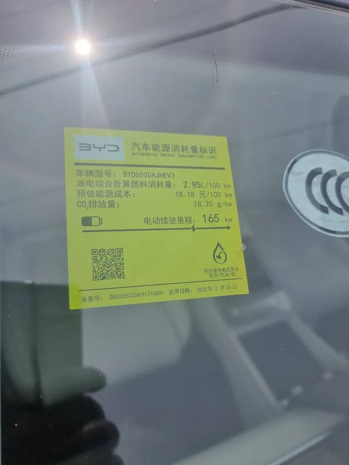 BYD Tang-L Exclusive 2025 – photo 6