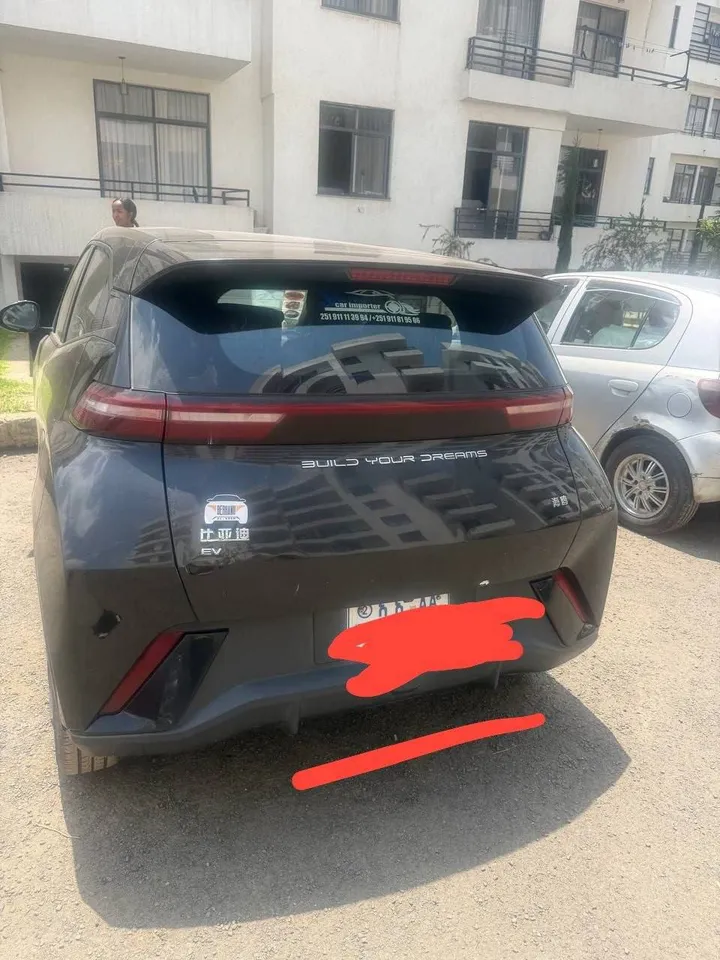 BYD Seagull 2024 Electric – photo 3