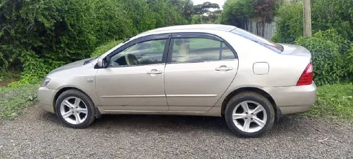 Toyota Corolla 2007 Automatic – photo 10