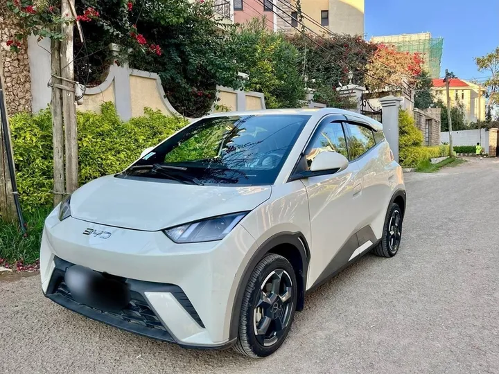 BYD Seagull 2025 Electric – photo 4