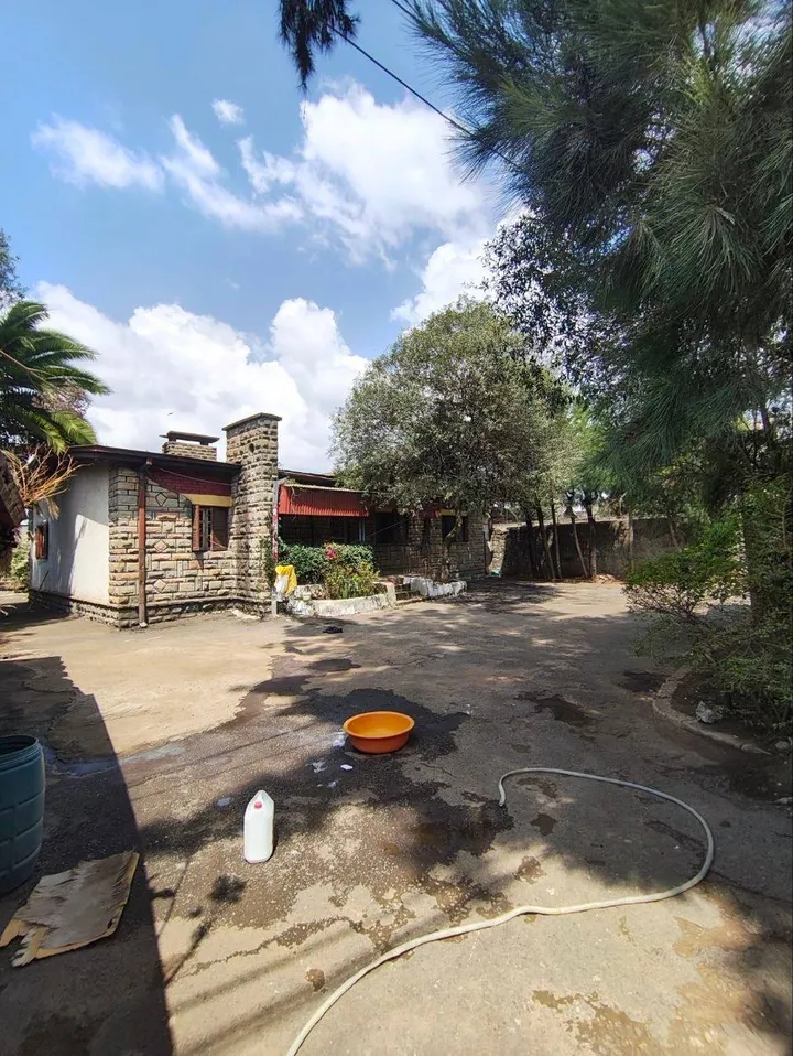 750 sqm Plot for Sale Kazanchis – photo 8