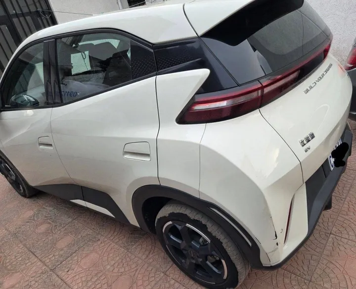 BYD Seagull Electric 2024 – photo 3