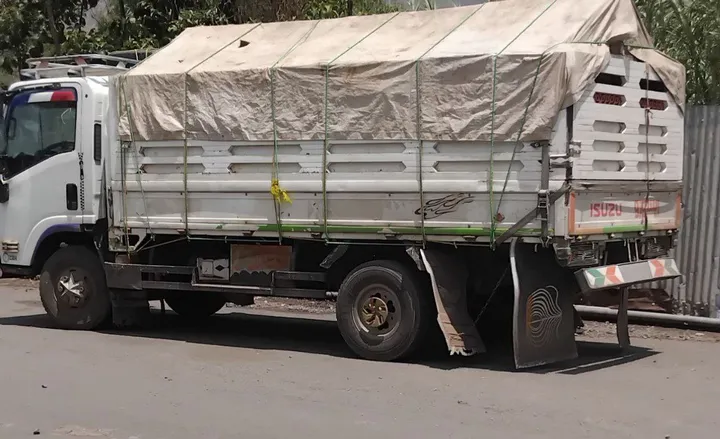Isuzu Cargo Truck 2010 Model – photo 5