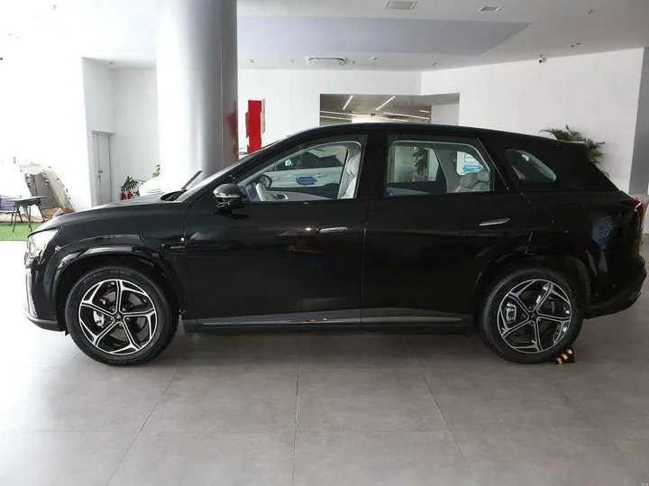 Neta L 2024 Electric SUV – photo 3