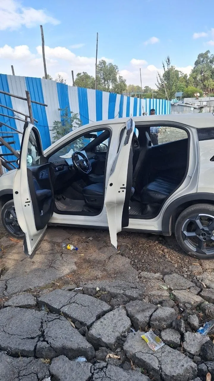 BYD Seagull Premium 2024 Electric – photo 6