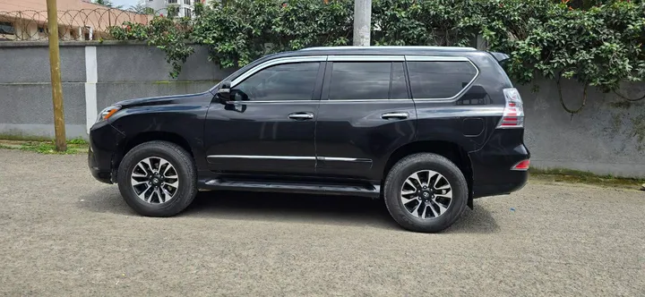 2018 Lexus GX 460 – photo 6