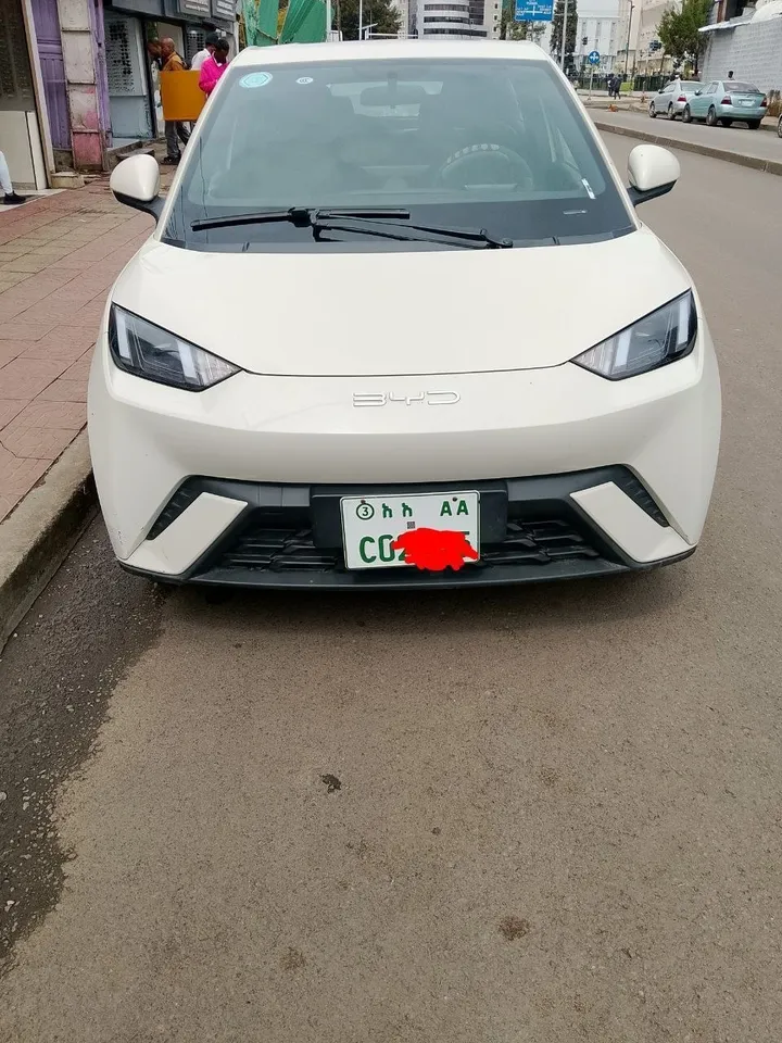 BYD Seagull 2023 Electric – photo 4