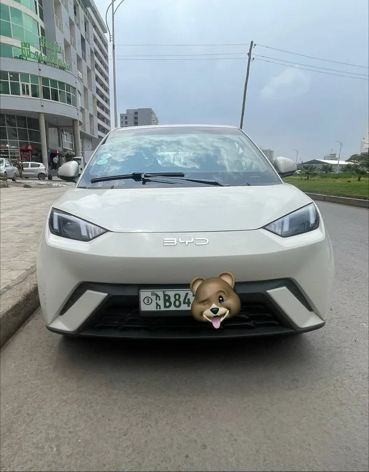BYD Seagull 2024 Electric – photo 4