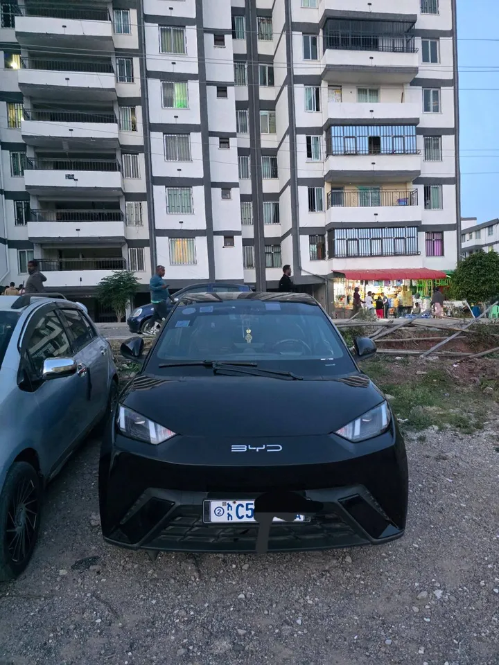 BYD Seagull 2024 Automatic Electric – photo 3