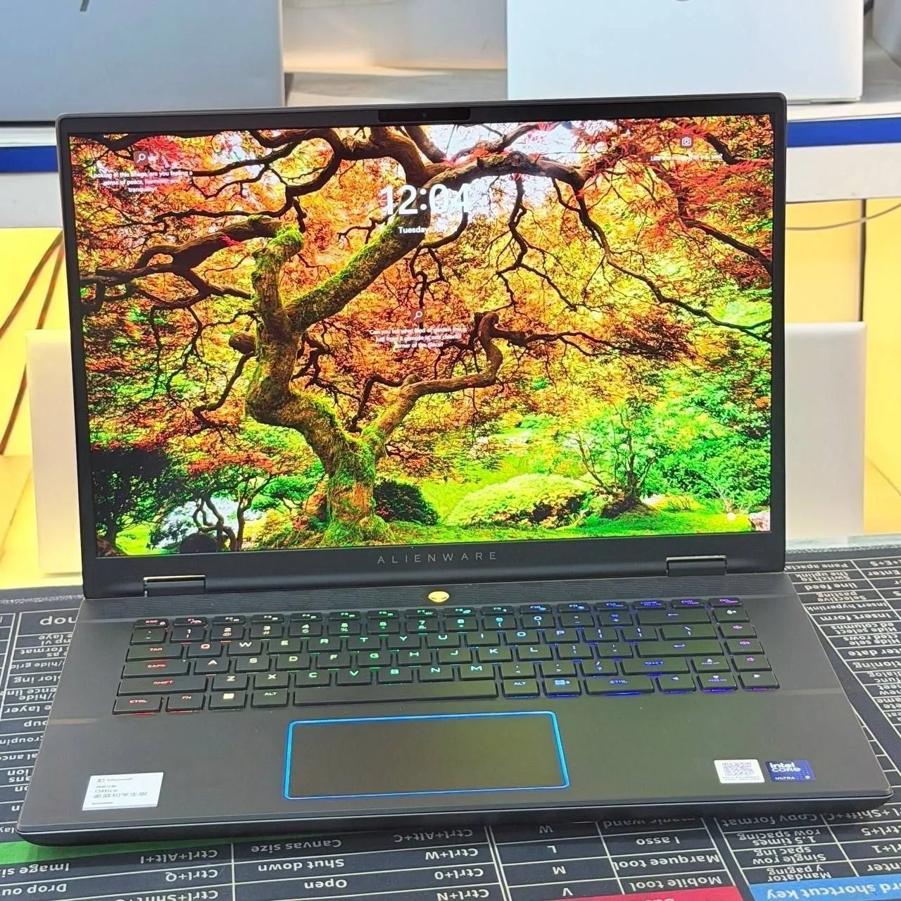 Alienware Ultra 9 Gaming Laptop – photo 4