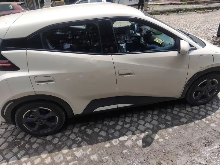 2025 BYD Electric Hatchback – photo 7