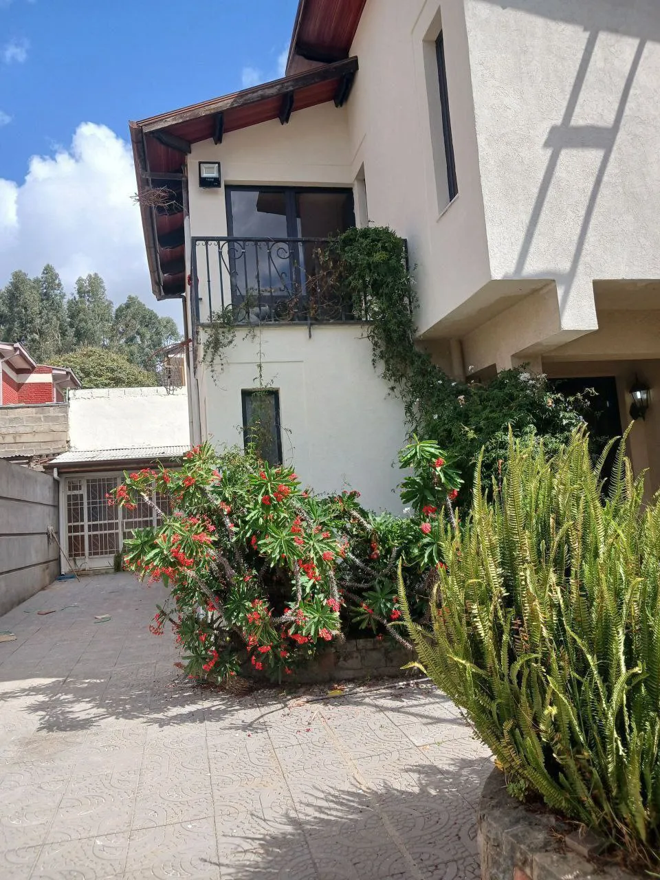 300 Sqm House in Ayat – photo 3