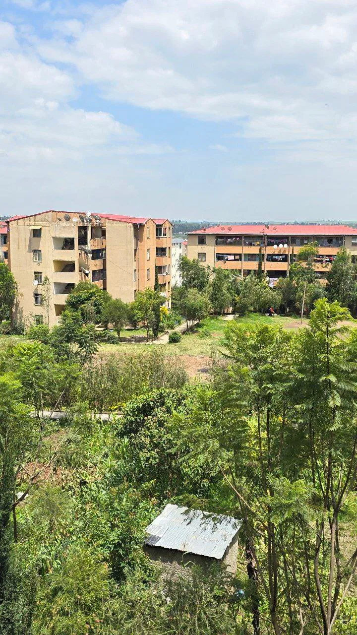 2 Bedroom Condo in Bole Arabsa – photo 5