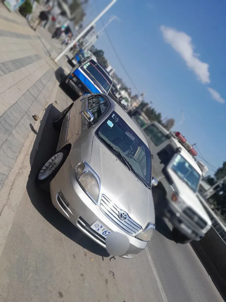 Toyota Corolla 2003 Manual – photo 4