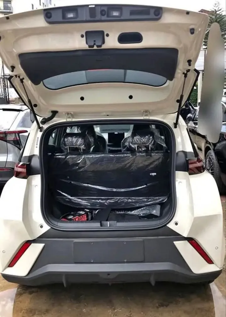 BYD Seagulls Electric 2025 – photo 7