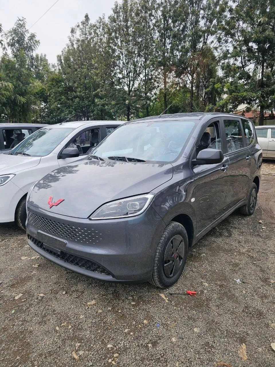 Wuling 2025 Hybrid Plug-in 8-Seater Van – photo 6