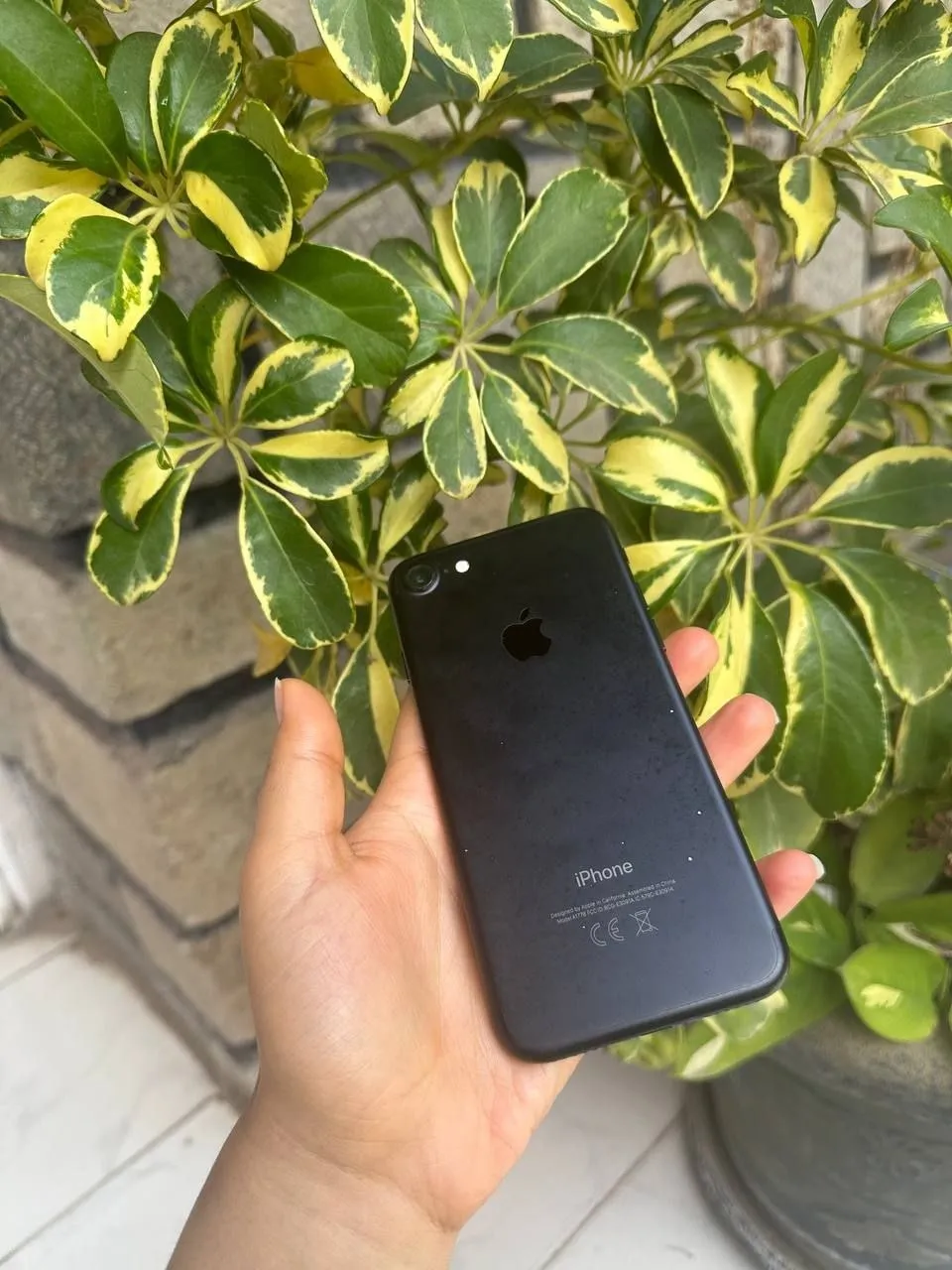 Apple iPhone 7 32GB Used – photo 3