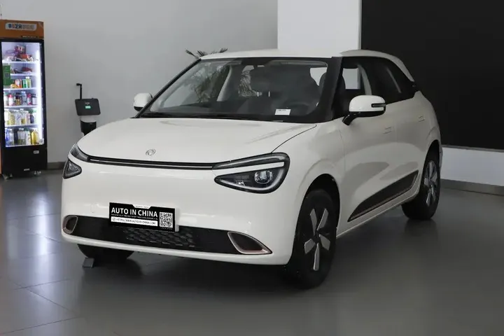 Dongfeng Nammi 01 Electric 2025 – photo 7