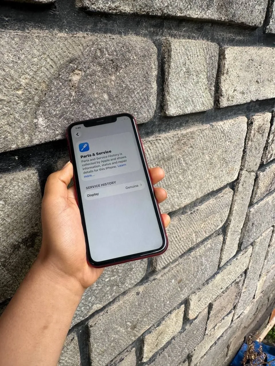 Apple iPhone 11 64GB – photo 3
