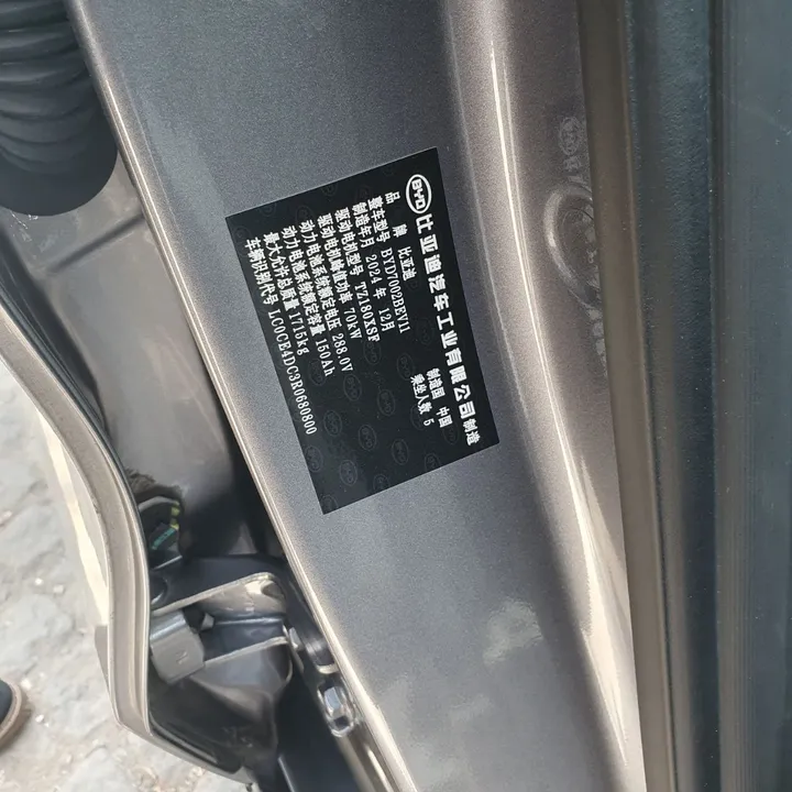 2024 BYD e2 Luxury Electric – photo 5
