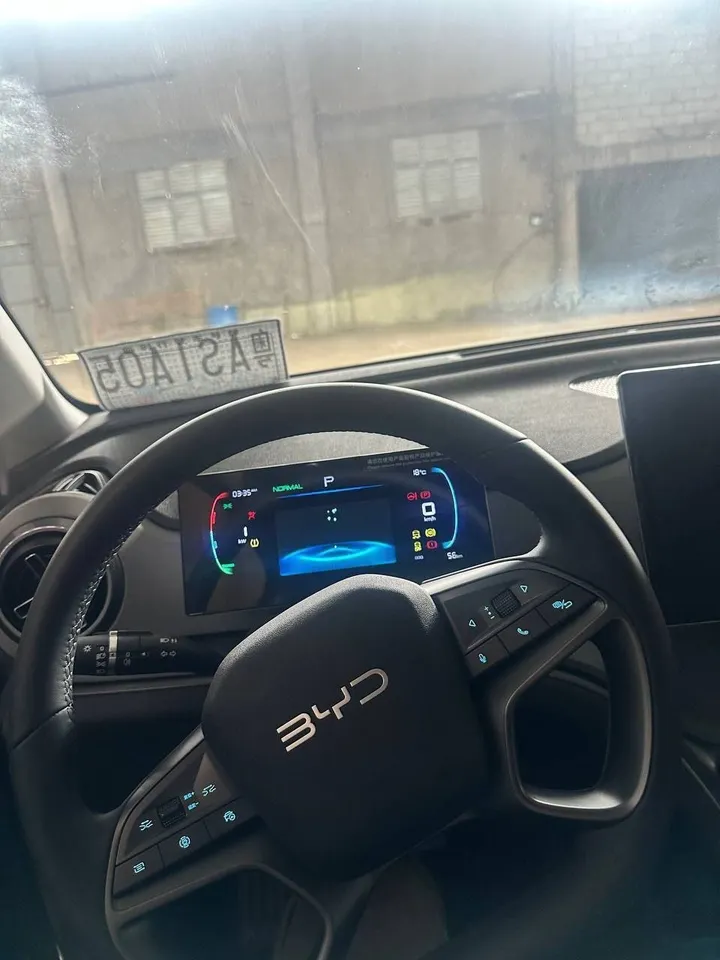 2025 BYD Sealion 05 DM-I – photo 6