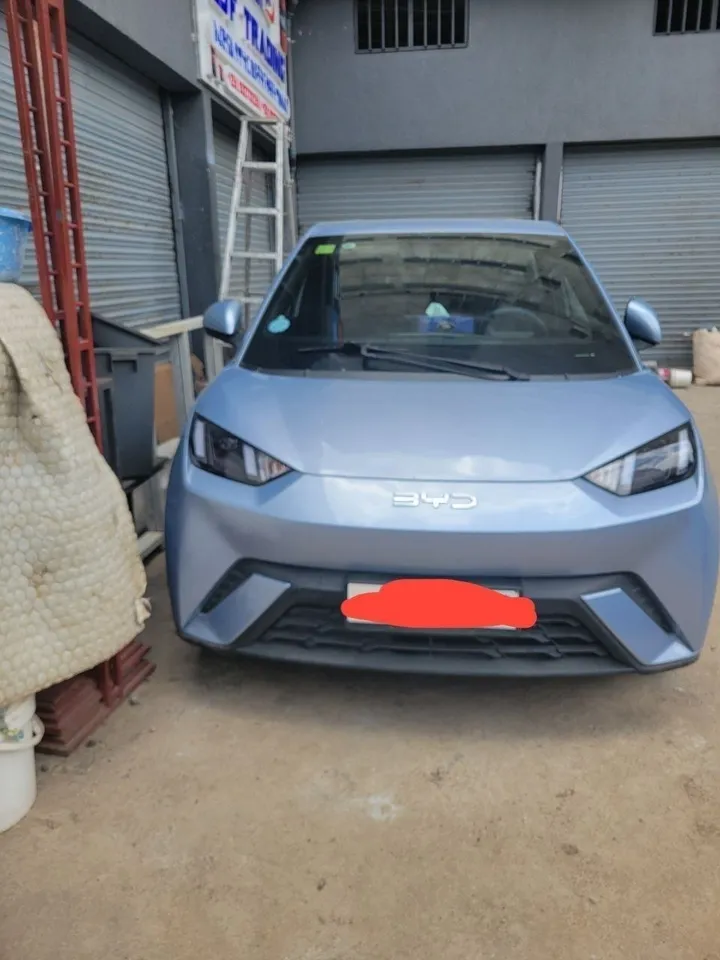 2025 BYD Seagull Electric Automatic – photo 5