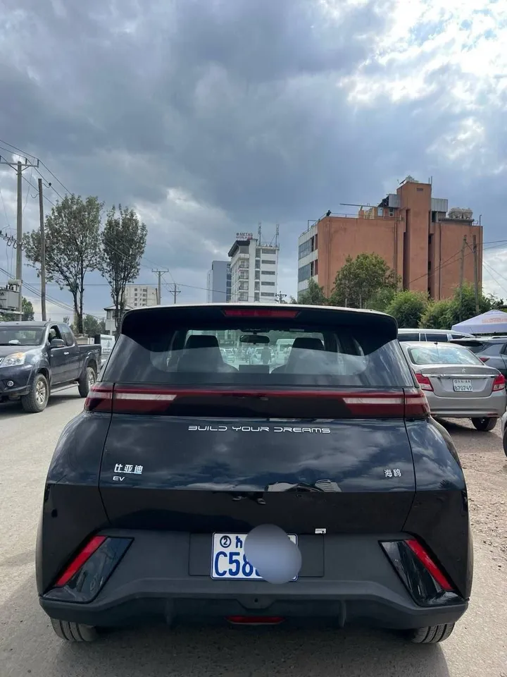 BYD Seagull 2024 Electric – photo 4
