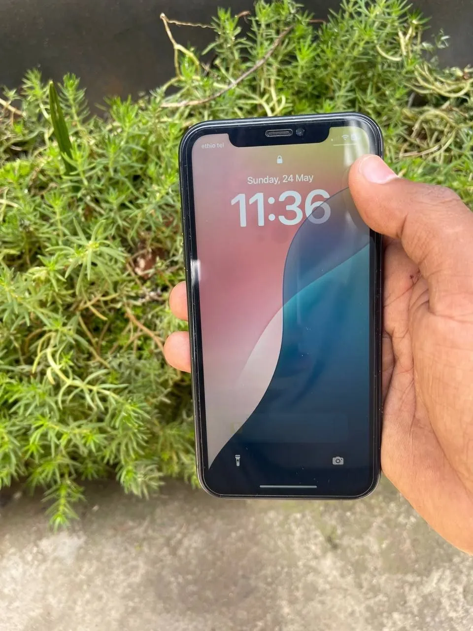 Apple iPhone 11 64GB – photo 3