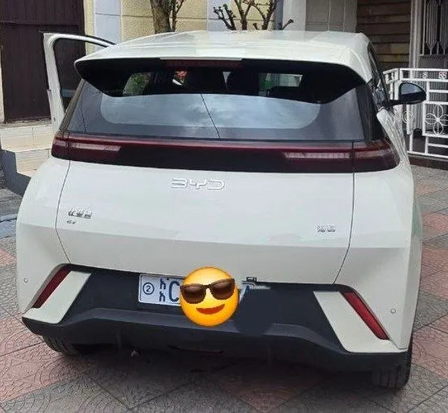 BYD Segull 2024 Electric – photo 5
