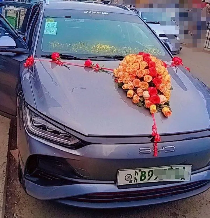 BYD e2 Electric Automatic – photo 6