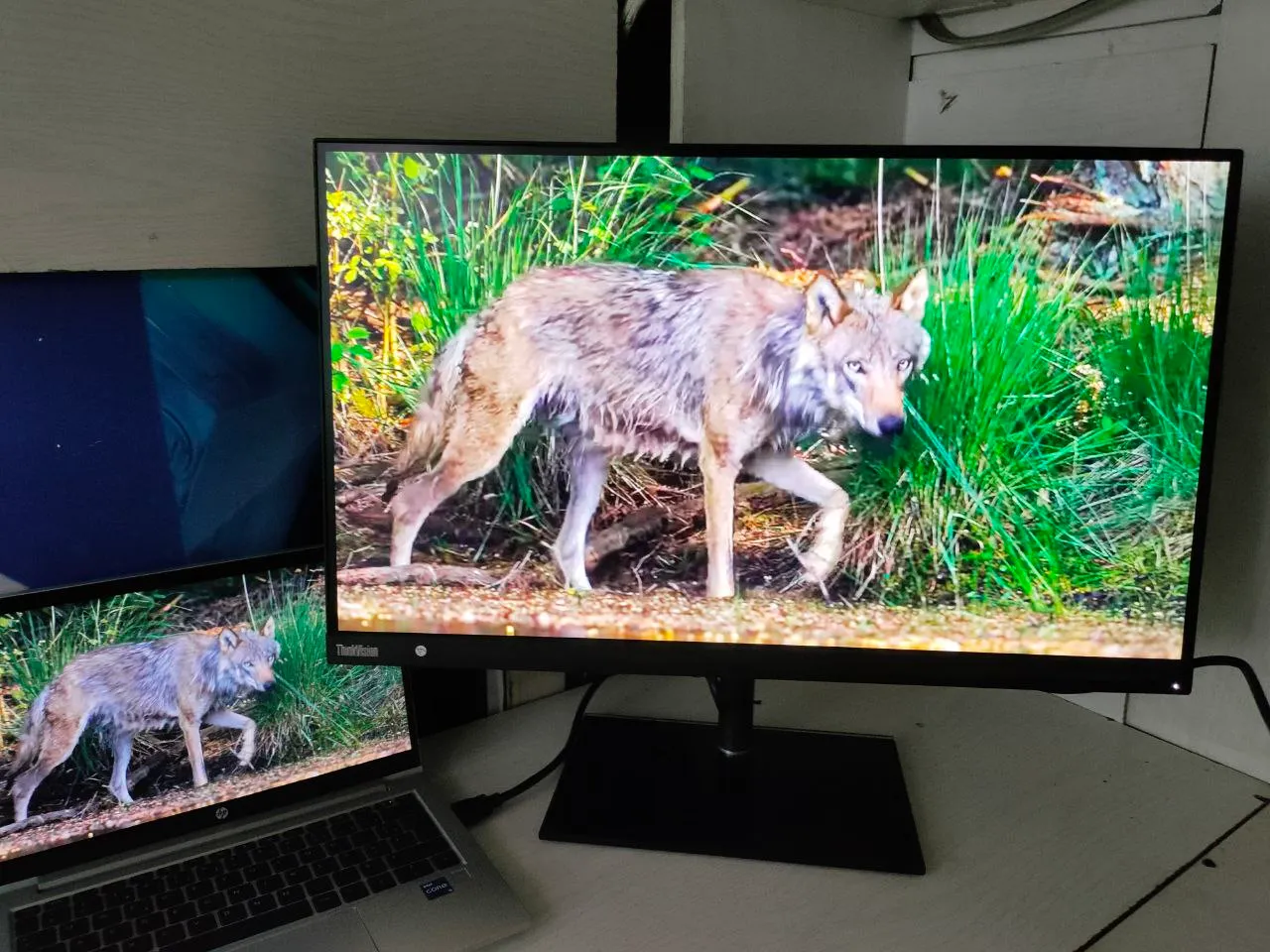 Lenovo ThinkVision 27 Inch 2K Monitor – photo 4