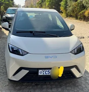 BYD Seagull 2024 Automatic