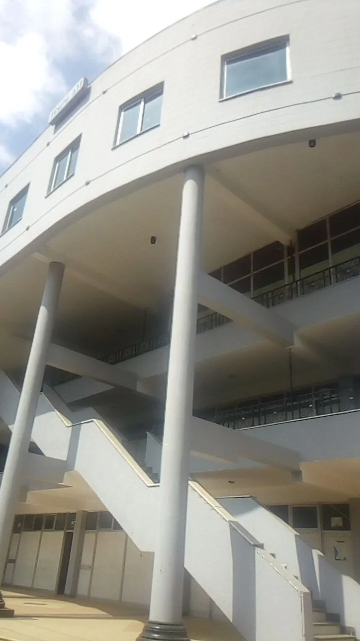 G+3 Commercial Building for Rent in Piassa – photo 5