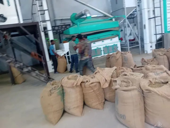 Operational Coffee Factory in Gelan – photo 3