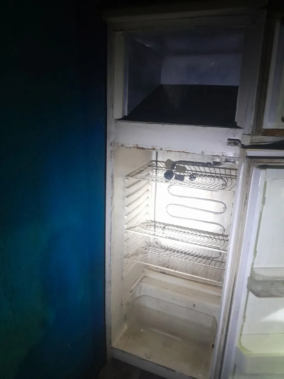 Igines 260 Liter Refrigerator – photo 4