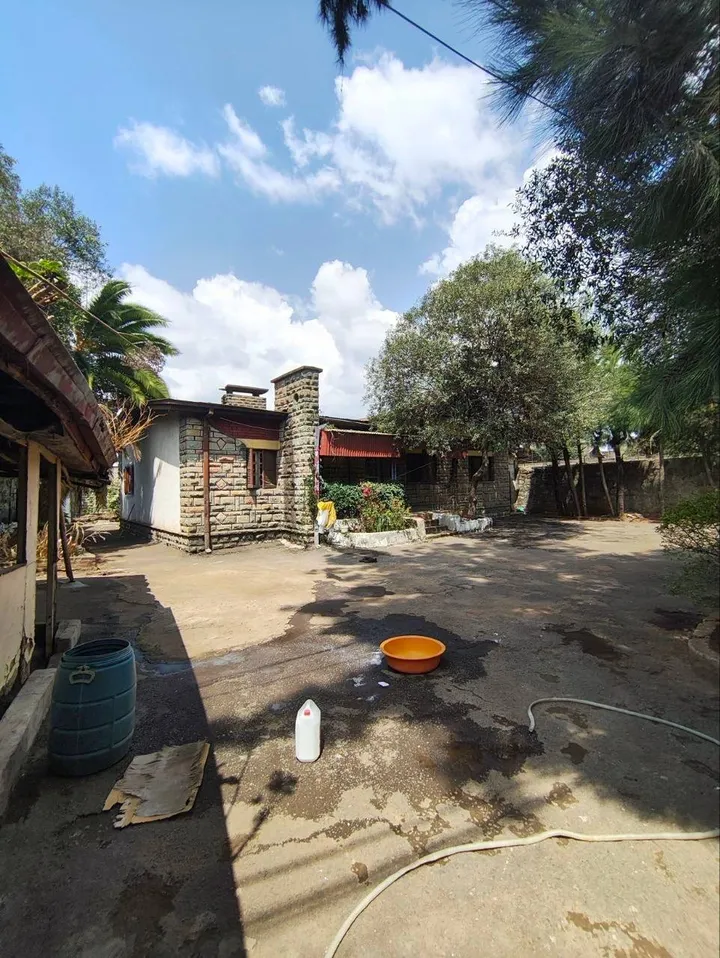 750 sqm Plot for Sale Kazanchis – photo 3