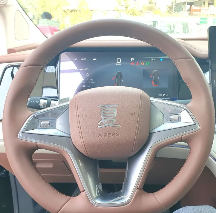 BYD M9 Luxury Minivan – photo 4