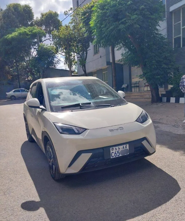 BYD Seagull 2024 Electric Cream – photo 6