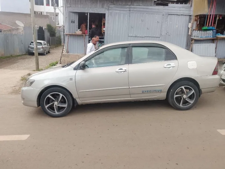 Toyota Corolla 2003 Manual – photo 4