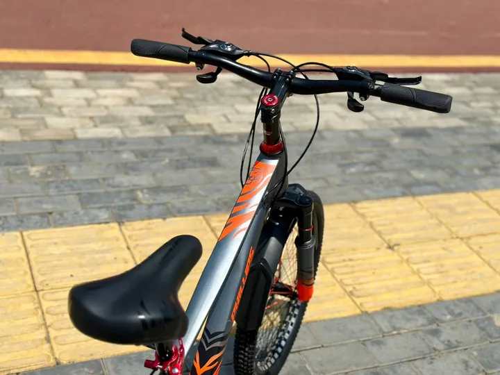 PHILLIPS Kids Bike 20 Inch – photo 4