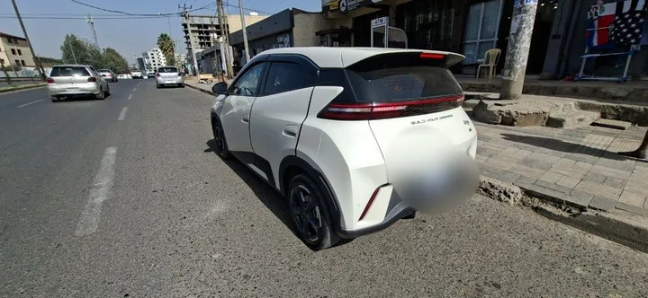 BYD Segull Electric 2024 – photo 8