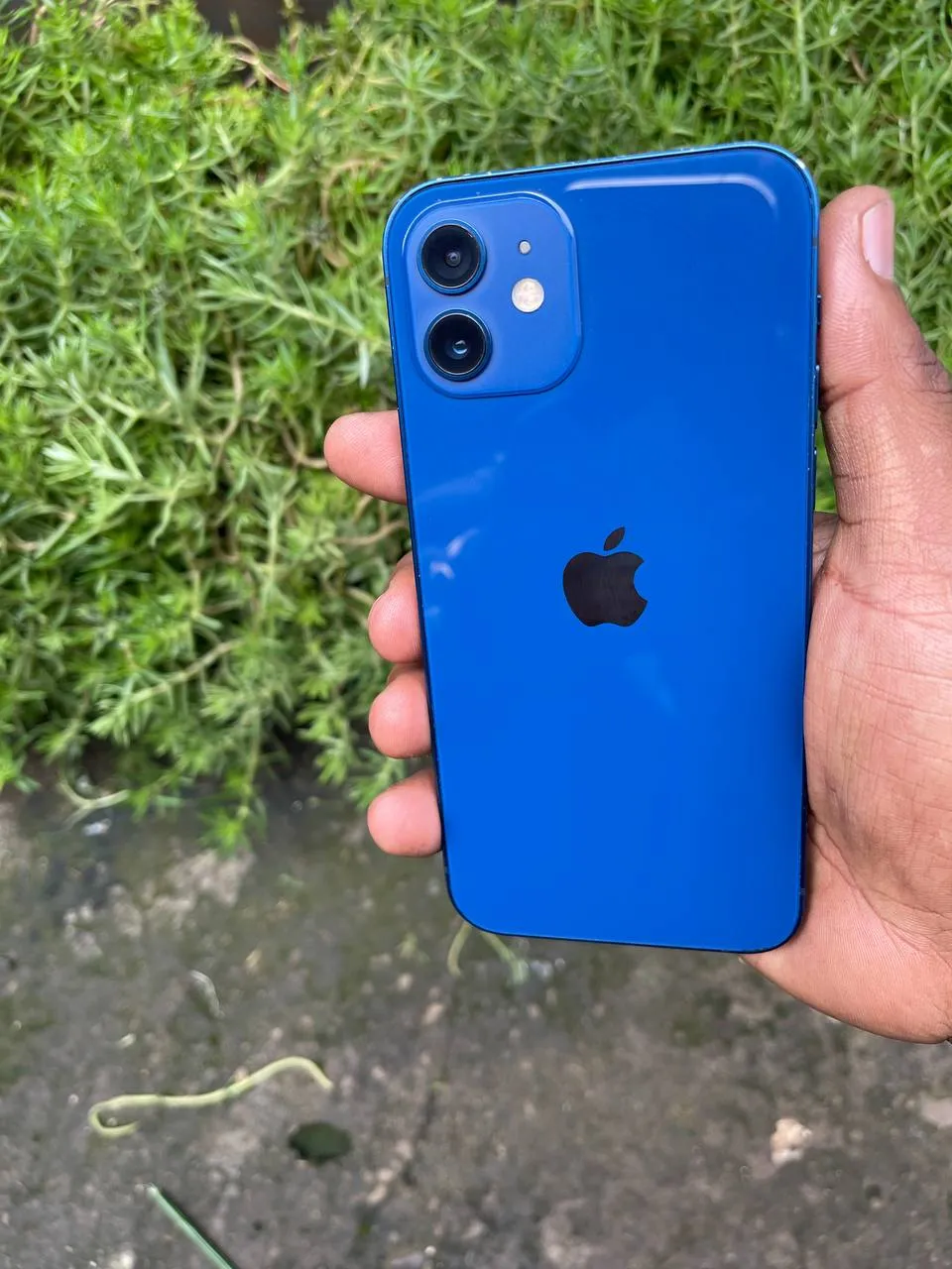 Apple iPhone 12 128GB – photo 7