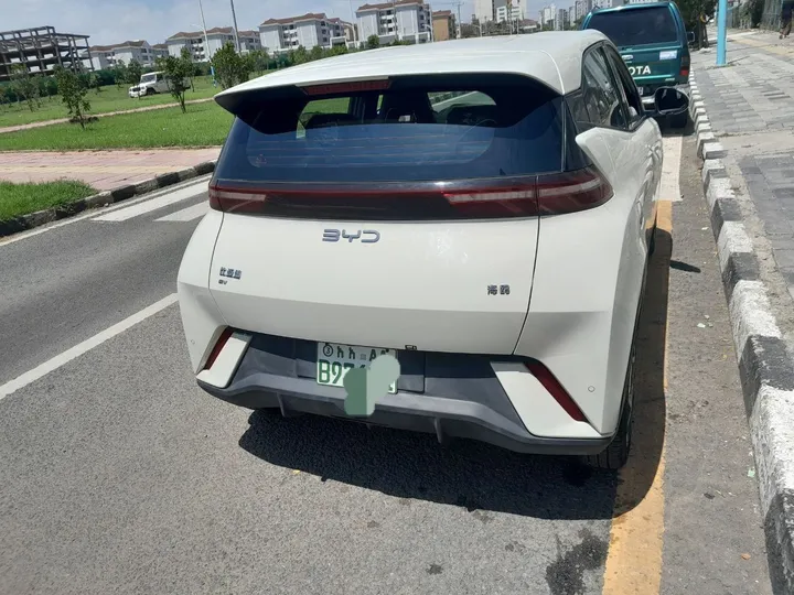 BYD Seagull 2025 Electric 405KM – photo 4