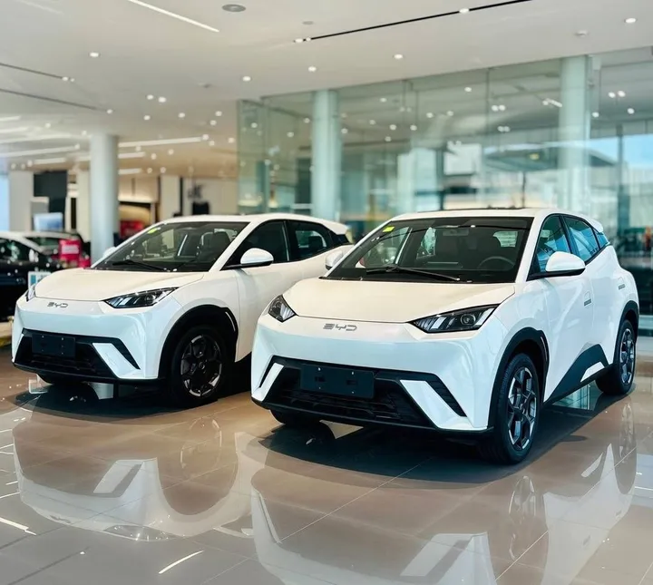 BYD Seagull 2025 Electric – photo 8