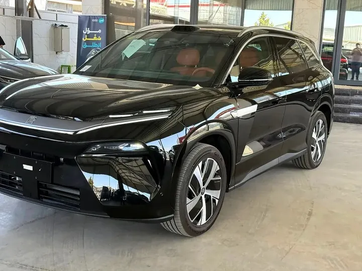 2025 BYD Tang L DM-I SUV – photo 7