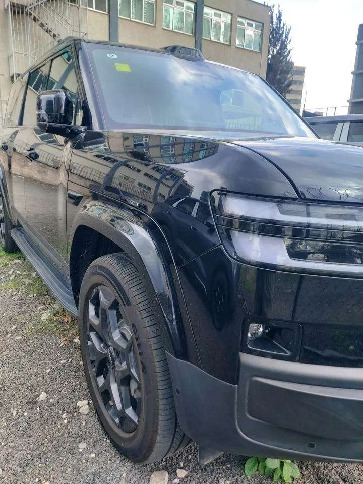 BYD Leopard 07 2025 SUV – photo 7