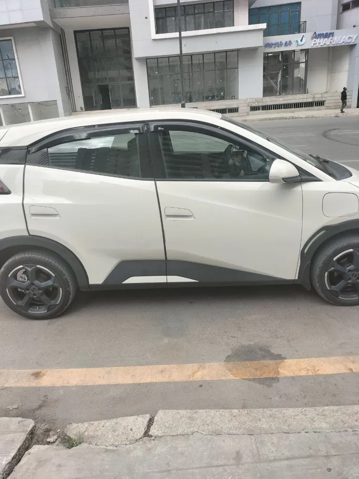 BYD Seagull 2023 Full Electric – photo 4
